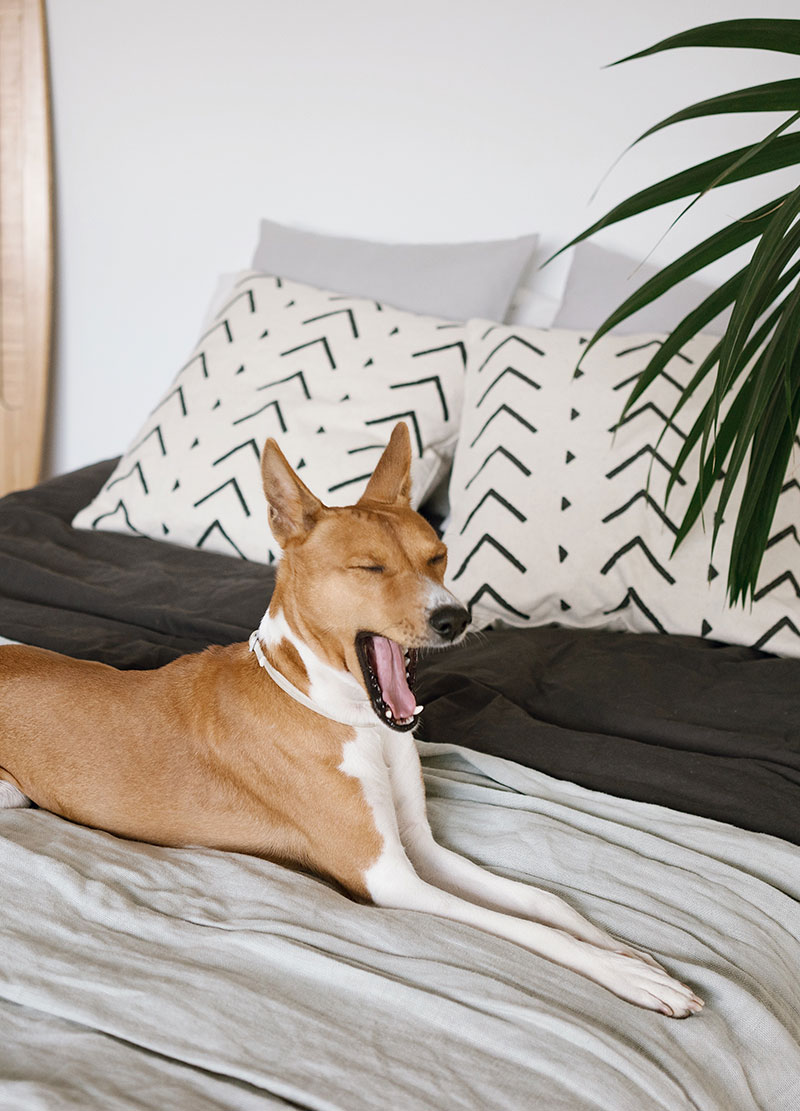 single-post-1-img-1 a